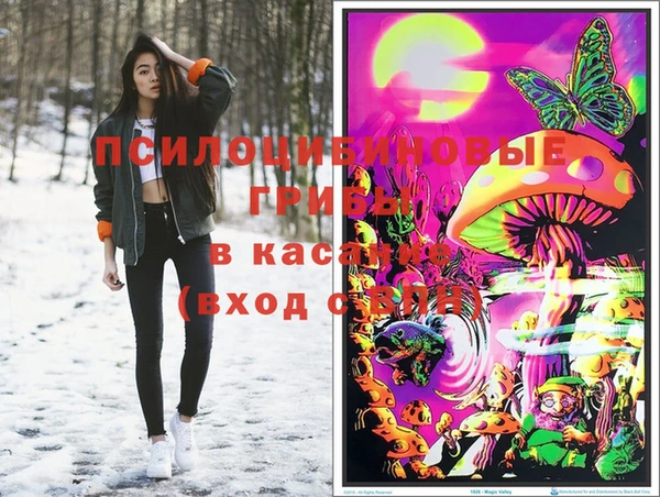 мяу мяу кристалл Алексин